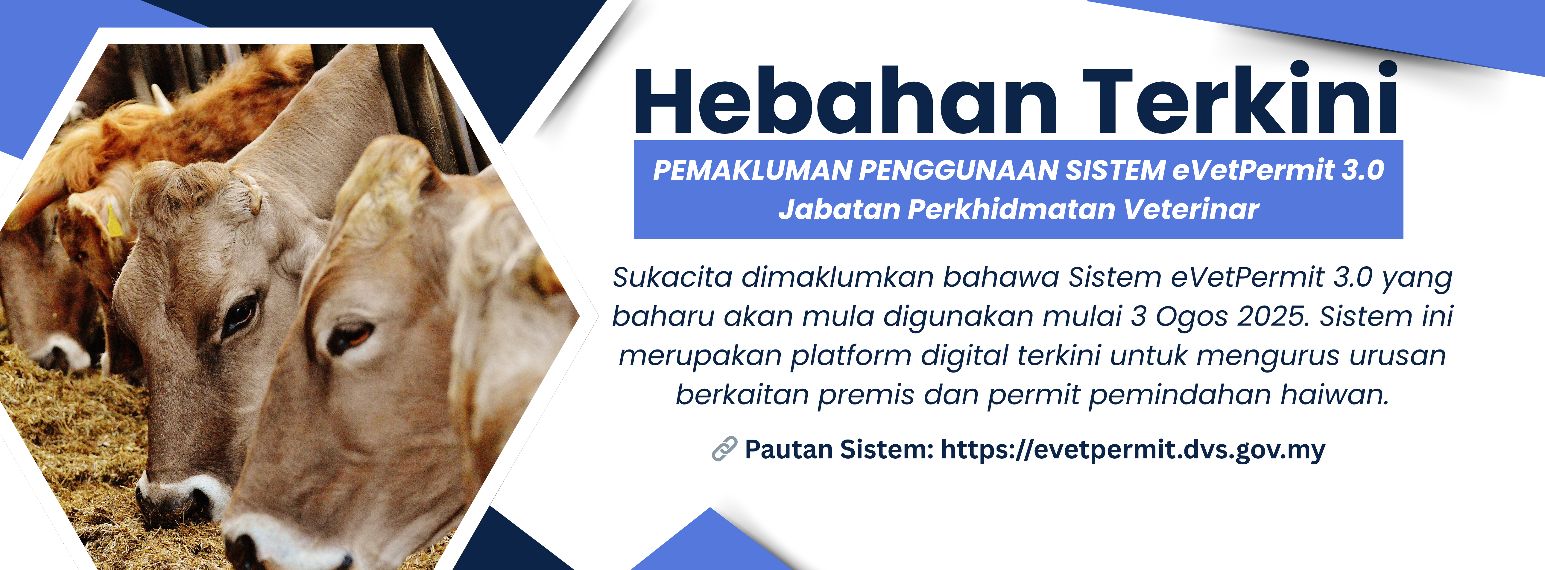 sistem
